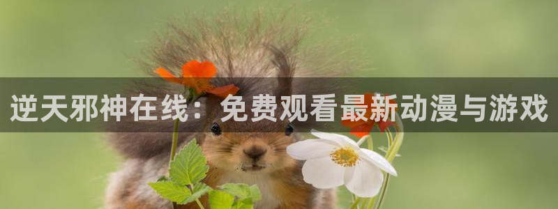 第一赘婿漫画下拉式奇漫屋：逆天邪神在线：免费观看最新动漫与游戏