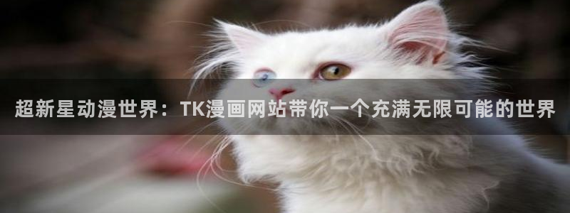 阿衰漫画免费下拉式奇漫屋漫画：超新星动漫世界：TK漫画网站带你一个充满无限可能的世界