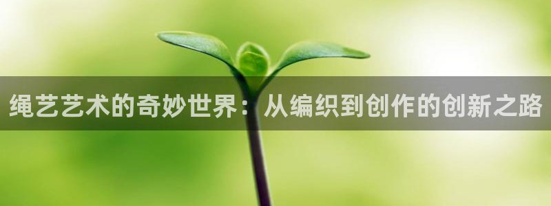 奇漫屋免费漫画下拉式小白杨：绳艺艺术的奇妙世界：从编织到创作的创新之路