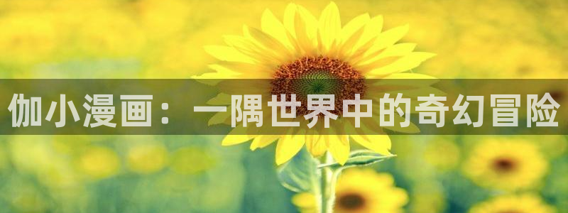 奇漫屋漫画app：伽小漫画：一隅世界中的奇幻冒险