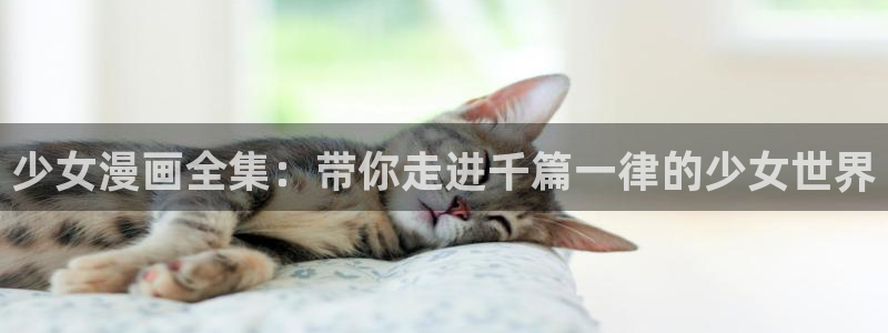 无意鸟之全彩漫画下拉式奇漫屋：少女漫画全集：带你走进千篇一律的少女世界