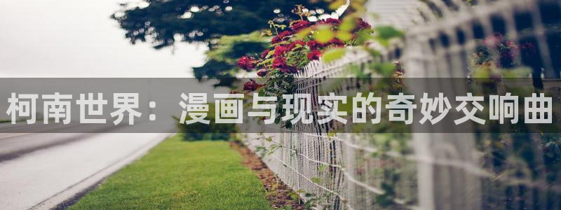斗罗大陆漫画奇漫屋下拉式漫画：柯南世界：漫画与现实的奇妙交响曲