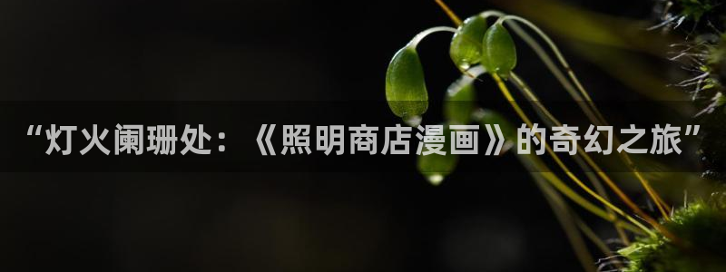 奇漫屋免费漫画下拉式小白杨：“灯火阑珊处：《照明商店漫画》的奇幻之旅”