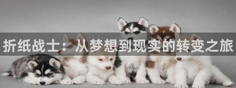 掌上萌珠漫画下拉式奇漫屋：折纸战士：从梦想到现实的转变之旅